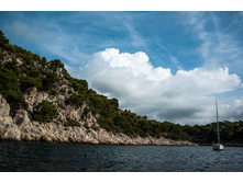 france035.jpg