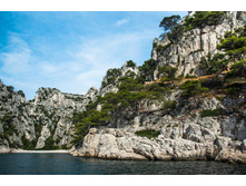 france038.jpg