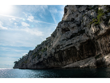 france039.jpg