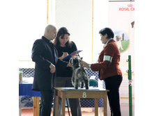 1-IMG_5609.JPG