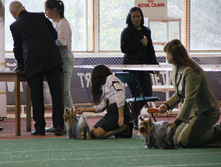 1-IMG_5646.JPG