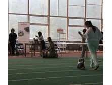 1-IMG_5657.JPG