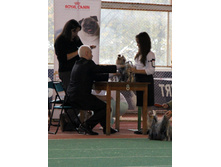 1-IMG_5675.JPG