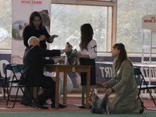 1-IMG_5678.JPG