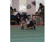 1-IMG_5699.JPG