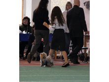 1-IMG_5715.JPG