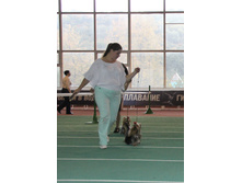 1-IMG_5731.JPG