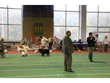 1-IMG_5739.JPG