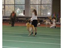 1-IMG_5746.JPG