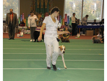 1-IMG_5748.JPG