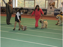 1-IMG_5755.JPG