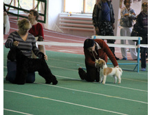 1-IMG_5779.JPG
