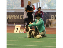 1-IMG_5840.JPG