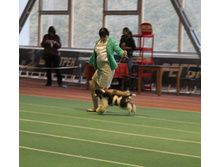 1-IMG_5842.JPG