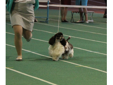 1-IMG_5843.JPG