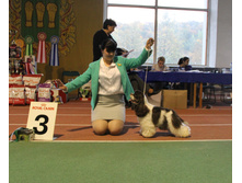1-IMG_5847.JPG