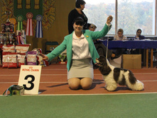 1-IMG_5849.JPG