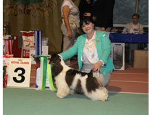 1-IMG_5879.JPG