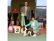 1-IMG_5884.JPG