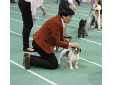 1-IMG_5850.JPG