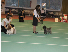 1-IMG_5860.JPG