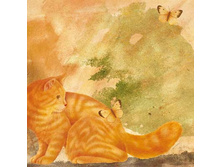SCRB 343 - ������� � �������.���� 0,59 ���� �� 1�..jpg