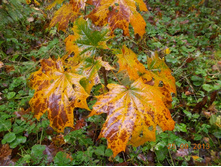 DSCN3288.JPG