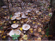 DSCN3294.JPG