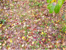 DSCN3295.JPG