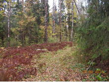 DSCN3296.JPG