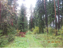 DSCN3311.JPG