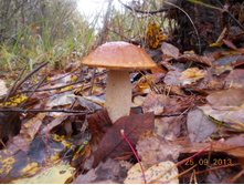 DSCN3323.JPG