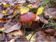 DSCN3324.JPG