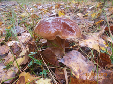 DSCN3328.JPG