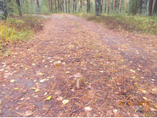 DSCN3329.JPG