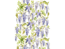 Easy 230 - Wisteria.���� 1,45 ���� �� 1 ����.jpg