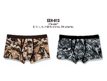   EEH-013 (����� ���.)