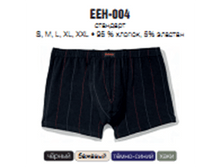     EEH-004 (����� ���.)
