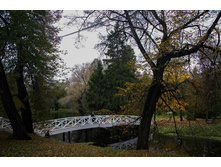 boldino05.jpg