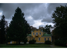 boldino17.jpg