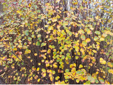 DSCN3348.JPG