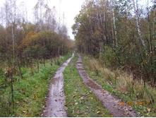 DSCN3354.JPG
