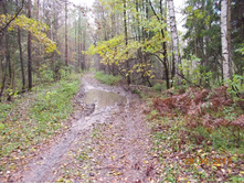 DSCN3365.JPG