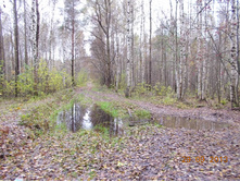 DSCN3366.JPG
