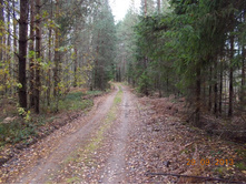 DSCN3374.JPG
