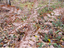 DSCN3375.JPG