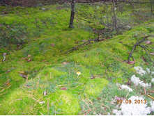DSCN3381.JPG
