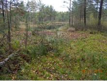 DSCN3382.JPG