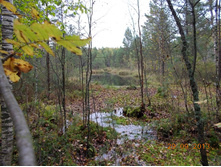 DSCN3383.JPG