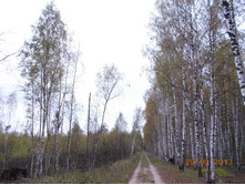 DSCN3408.JPG